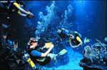 Dayo Scuba - Orlando Florida Scuba Dive Center