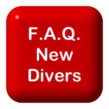 FAQ New Divers for Open Water Course at Dayo Scuba Orlando Florida