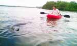 Kayak Scuba Diving at Dayo Scuba Orlando Florida